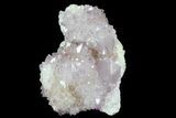 Cactus Quartz (Amethyst) Cluster - South Africa #80011-3
